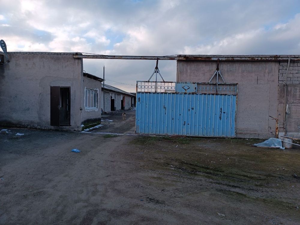Сдам в аренду територию 36.8 соток юкори чирчикский район кол. Правда