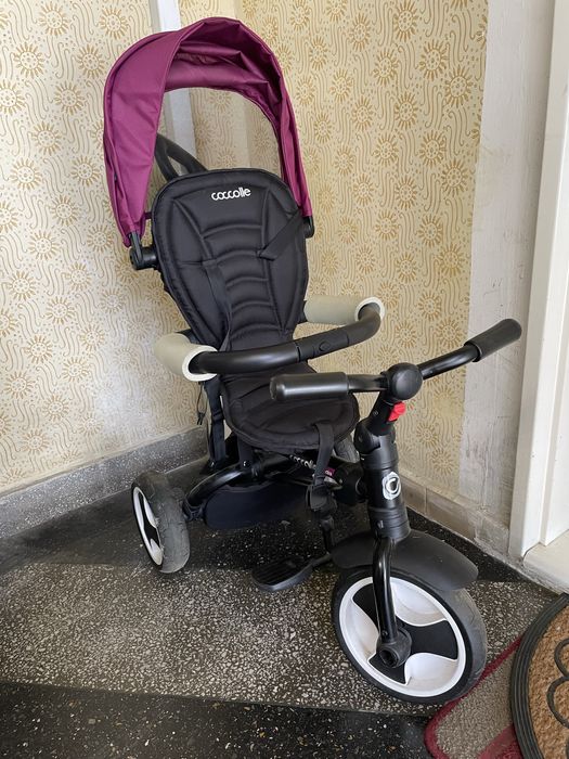 Tricileta Coccolle Spectra Mov