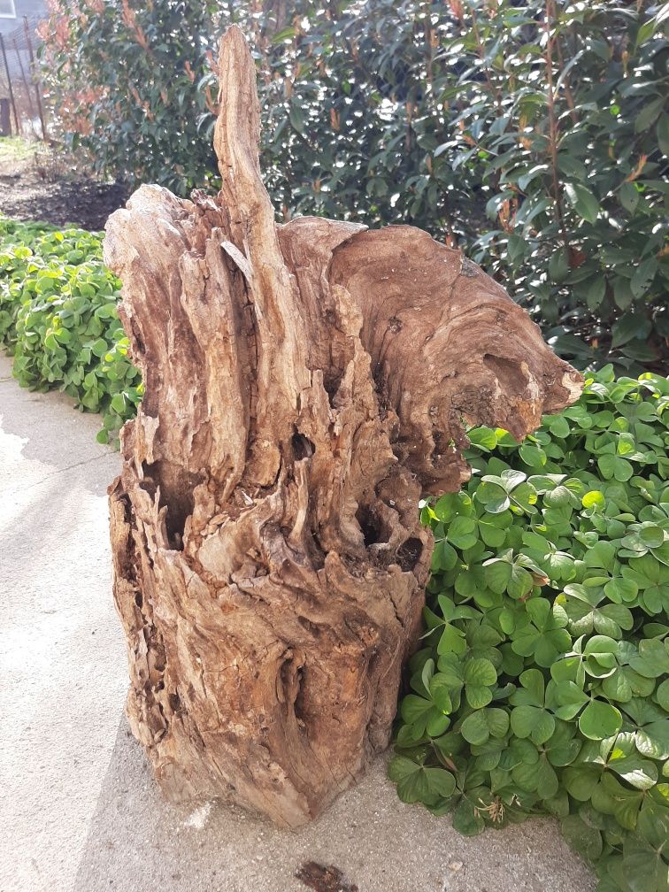 Дърво / пън за декорация