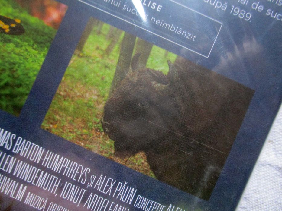 România neîmblânzită, DVD, nou