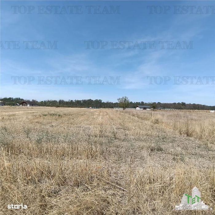 Teren intravila de vanzare  Pruni Magurele