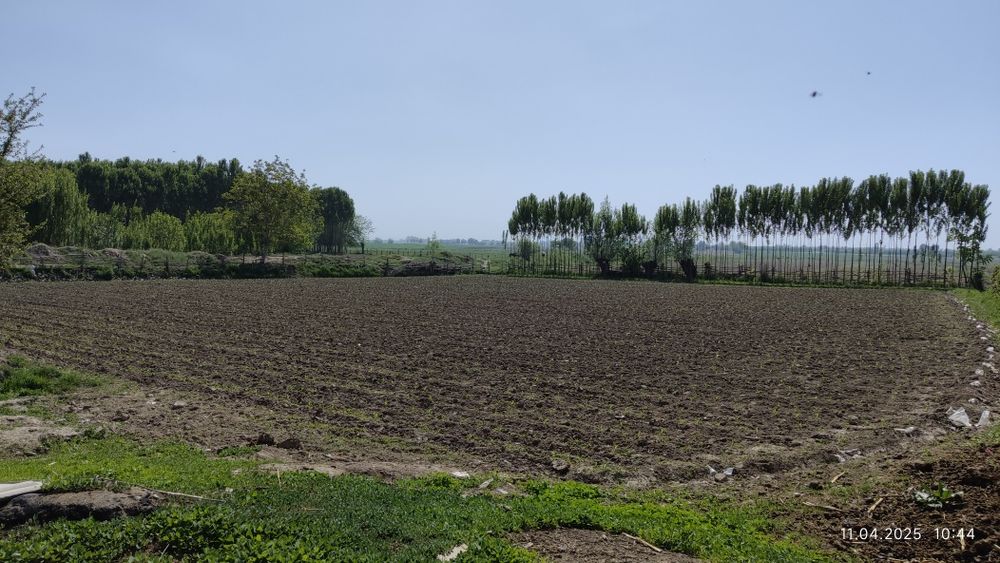 Uy Sotiladi Toshkent viloyati Bo'ka Tumani Ramadon MFY Janabay 15 uy