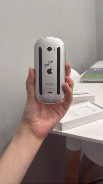 Magic mouse apple