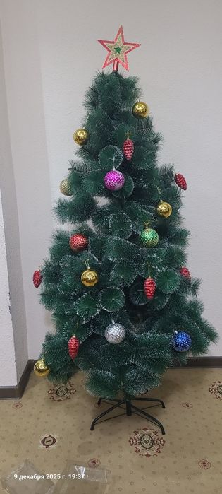 Archa sotiladi xolati ZOR rasimdagi Xama ma narsalari bilan Boyi 165 B