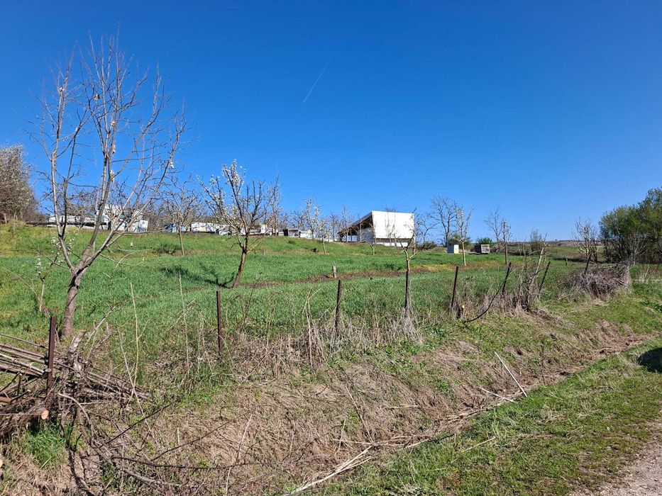 TEREN BERGHIN 6000 mp/livada cu rulota ingradit