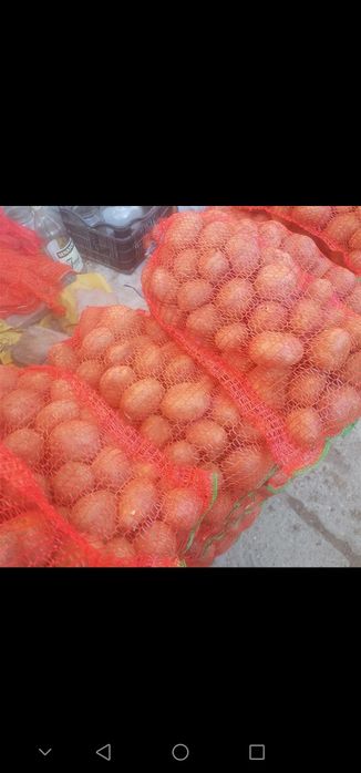 Cartofi  de consum Albi și roșii de vânzare