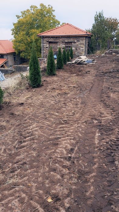 Туя смарагд перфектни 160см