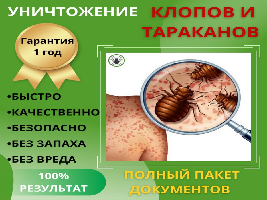 Дезинфекция 100% результат клопы кандала тараканы блохи крысы и мыши