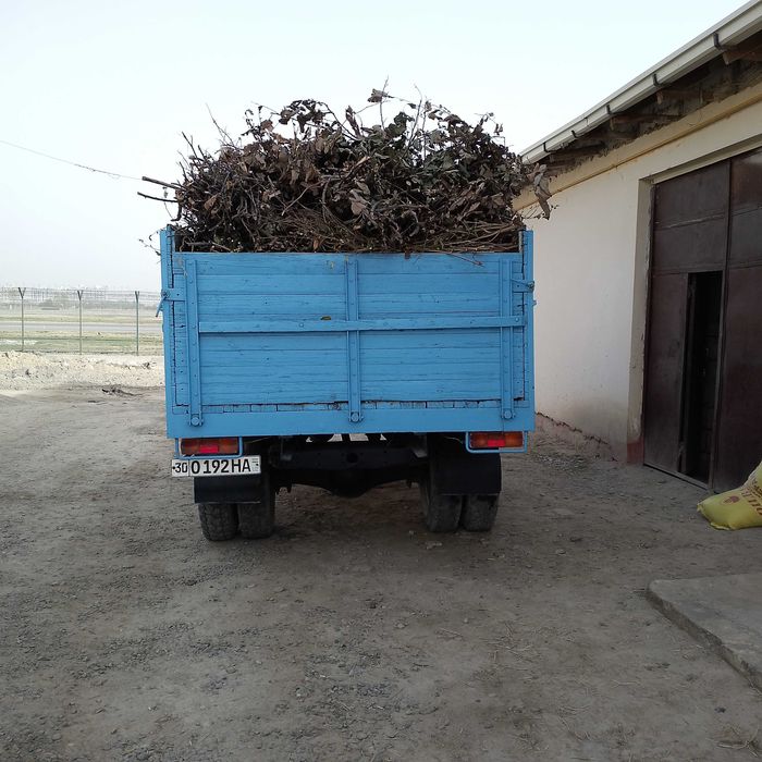 Utin dostavkasi Samarkand shahar