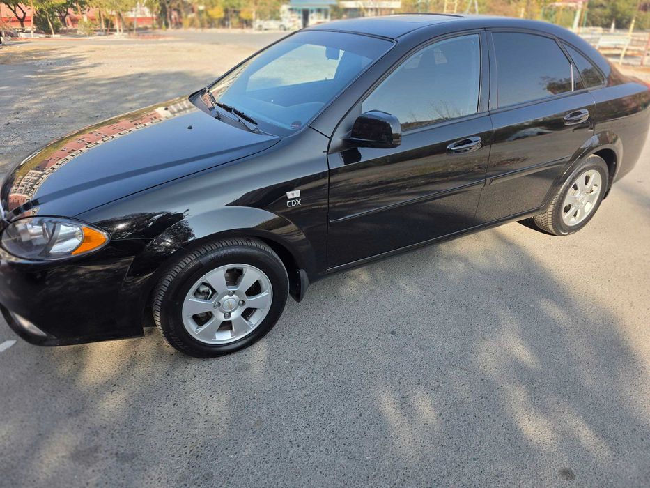 Жентра кора, холати тинник