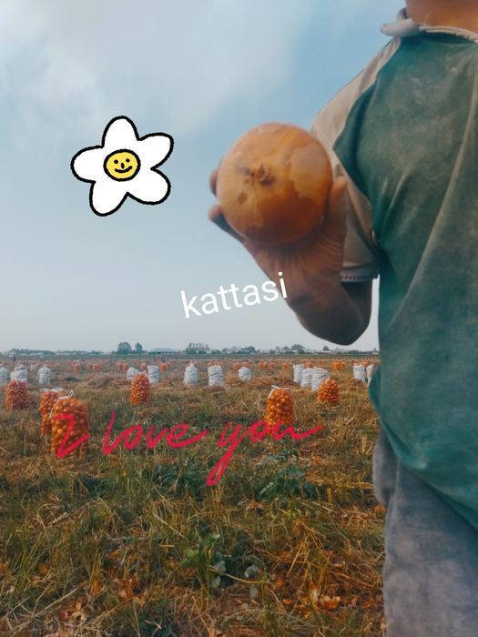 Piyoz Sotaman katta katta