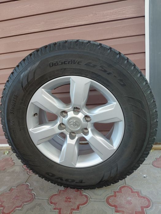 Шина зимние  с оригинальными титанками
