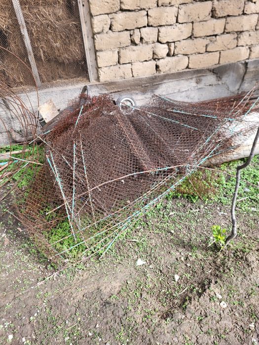 Сетка заборга тауыкка болады метрлеп сатылады