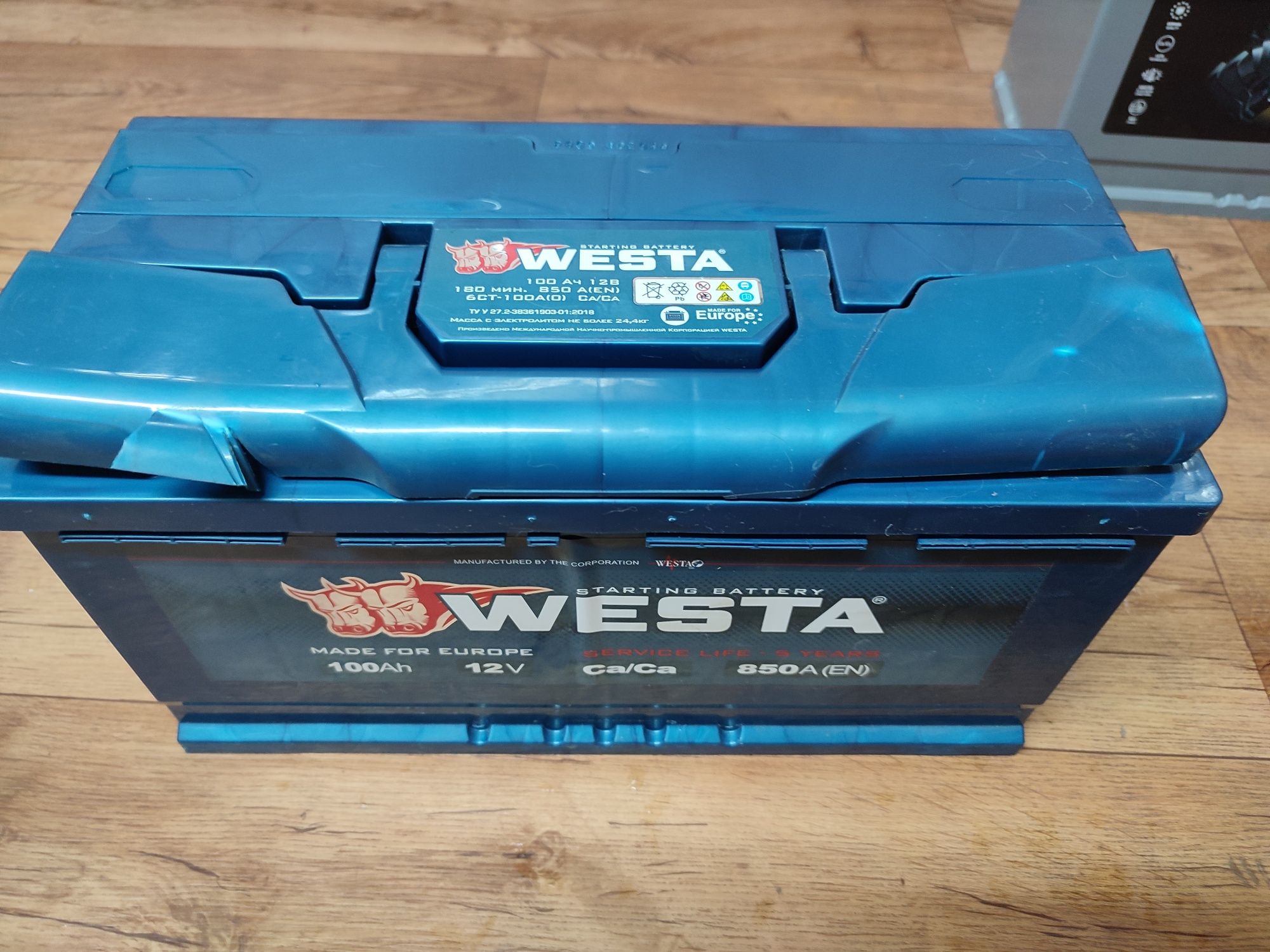 Аккумулятор WESTA 100A