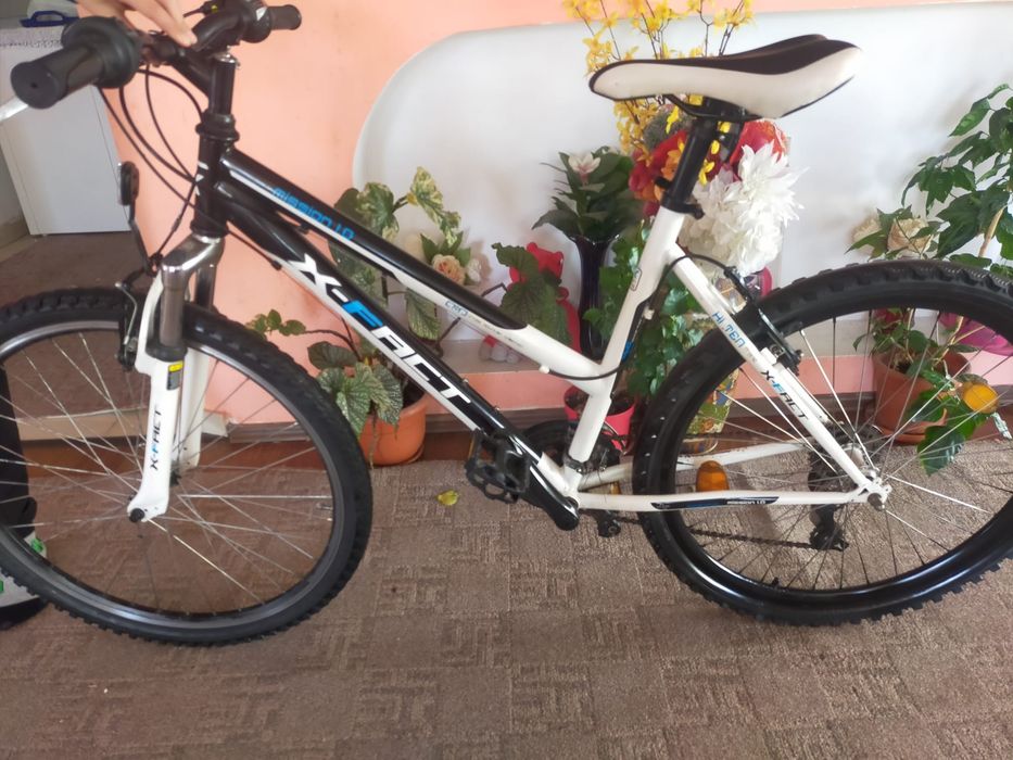 Bicicleta xfactor 26