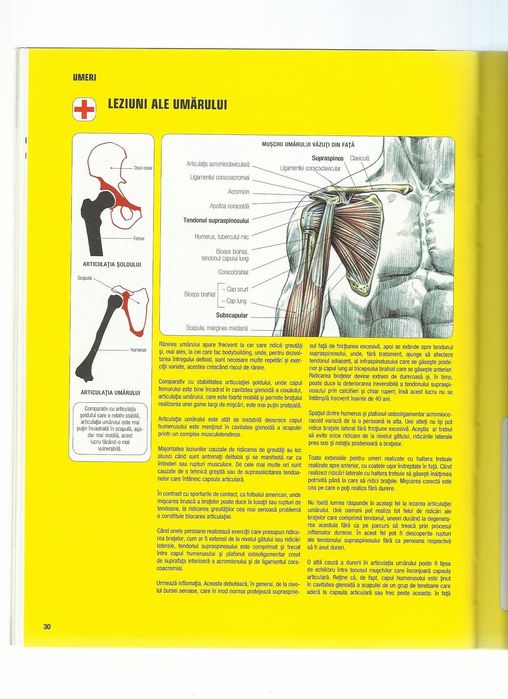 Cartea Anatomia unui corp perfect