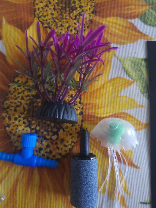 Аксесоари за аквариум (термометър, лакмусова хартия, камъче за въздух)