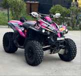 Can am renegade g1 800