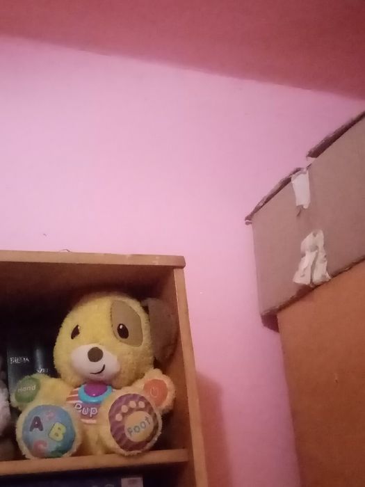 Jucării de pluș pt copii