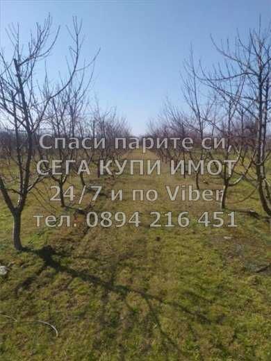 Продава се Парцел в с. Калековец, Област Пловдив - 9000 кв.м за 7 €/кв.м - Снимка #7