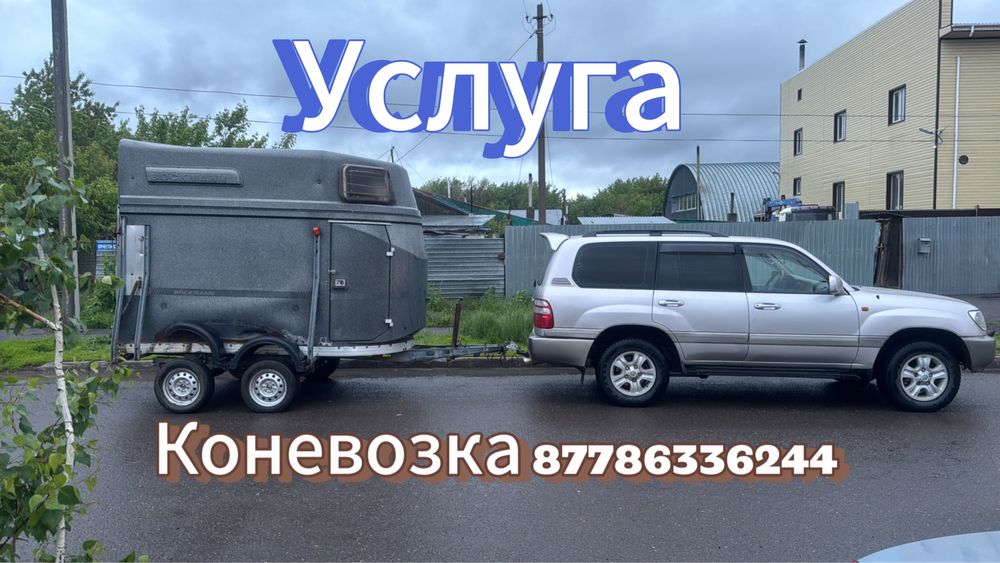 Услуга коневозки Астана Алматы по городу между город