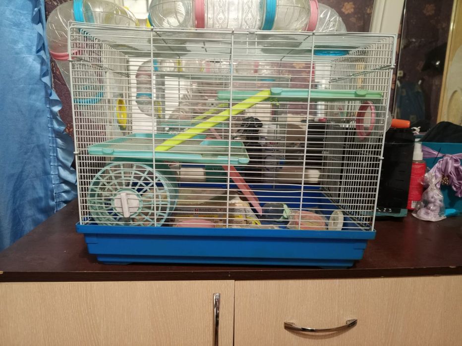 Клетка для грызунов