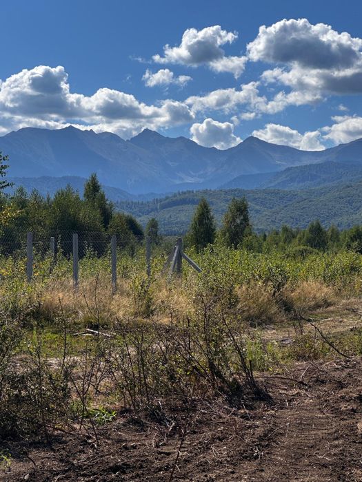 Se vinde teren Valea Avrigului intravilan