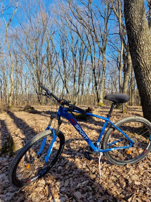 Afisport Bicicleta Roti 29