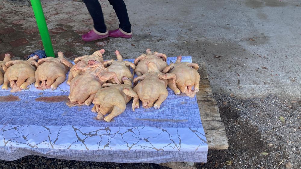 Домашня курица халял