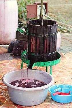 Struguri pentru vin si must proaspat