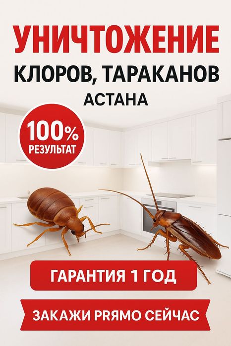 Дезинфекция квартир от 10 000 — клопы, тараканы, мыши