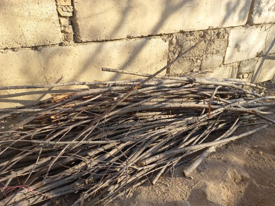 Тандирга утин мевали дарахтники