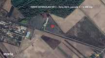 De vanzare 5 loturi langa padure 33.000 mp - Racari - Licitatie