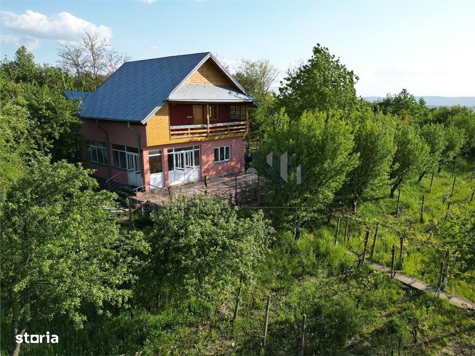 Pietrarie Vila P+1 s=164mp garaj beci teren 2000mp livada vie zona ver