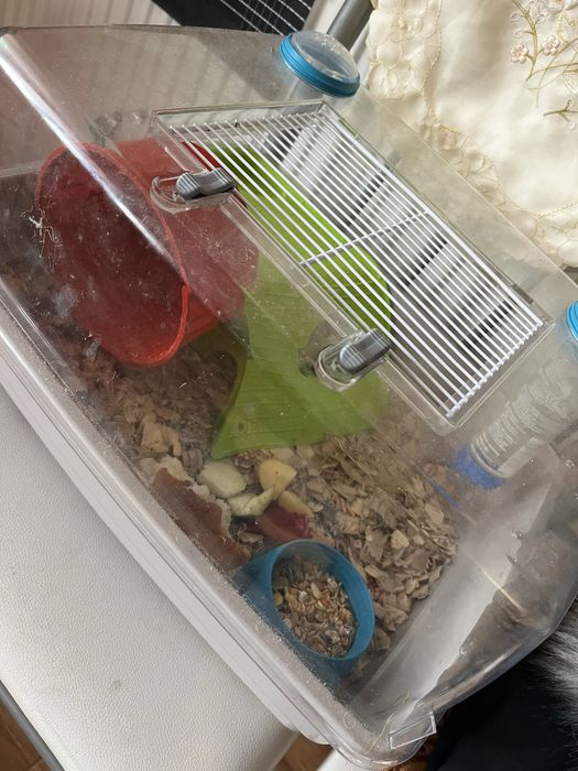 Hamster cu tot cu cusca si cu toate accesoriile