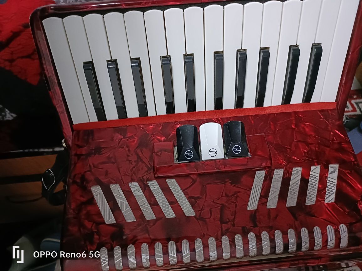 Acordeon  parot nou