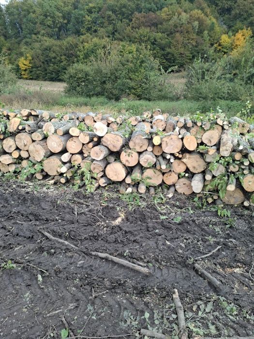 Vând lemne de foc,transport la domiciliu(nu livram cu FanCurier!)
