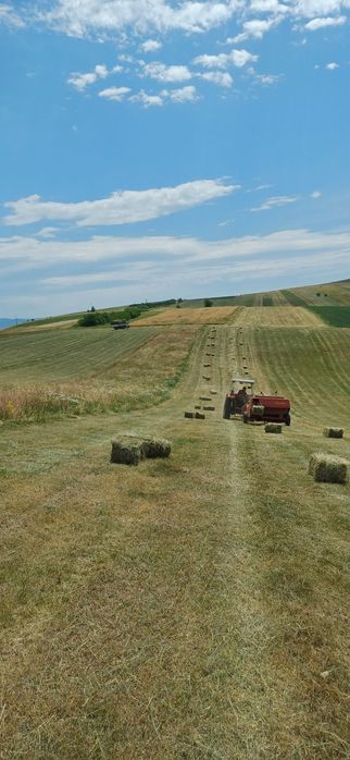 Vând baloti de fân