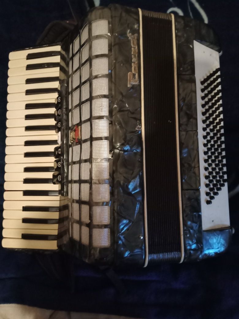 Acordeon  parrot  96 bași - 1300  l