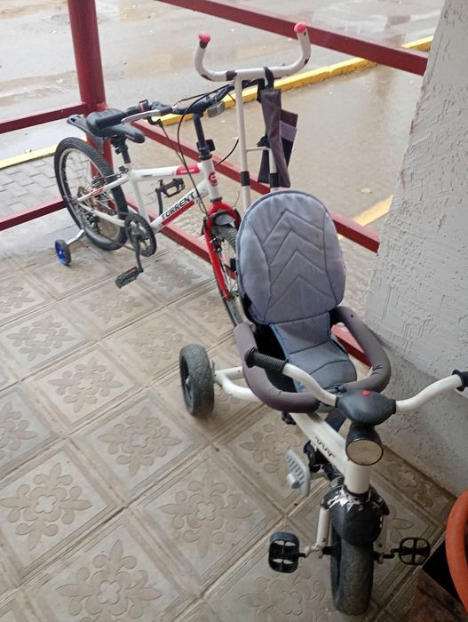 Даром. Бесплатно