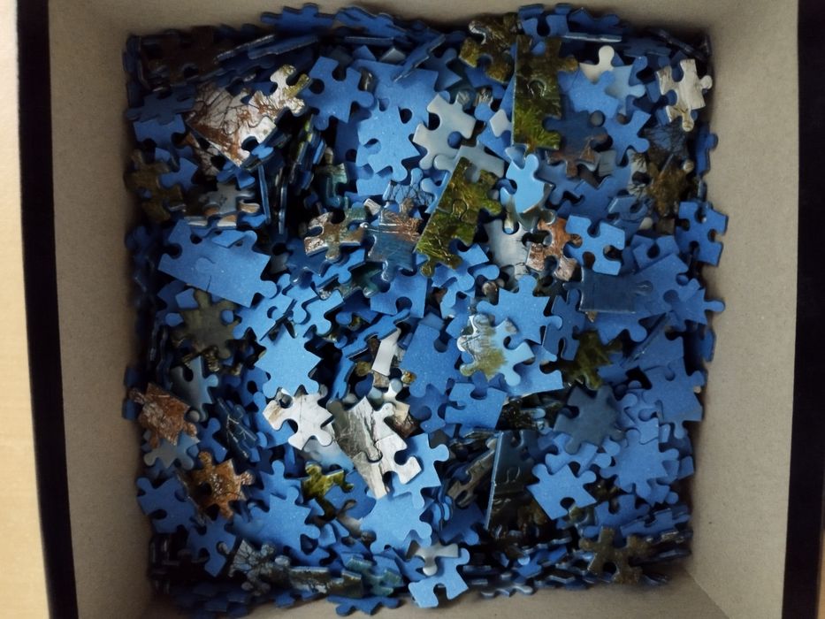 Puzzle 1000 piese