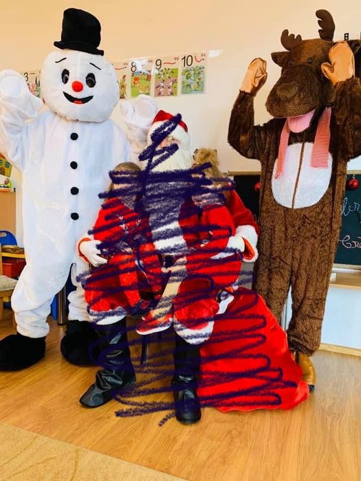 Costum Ren - Craciun