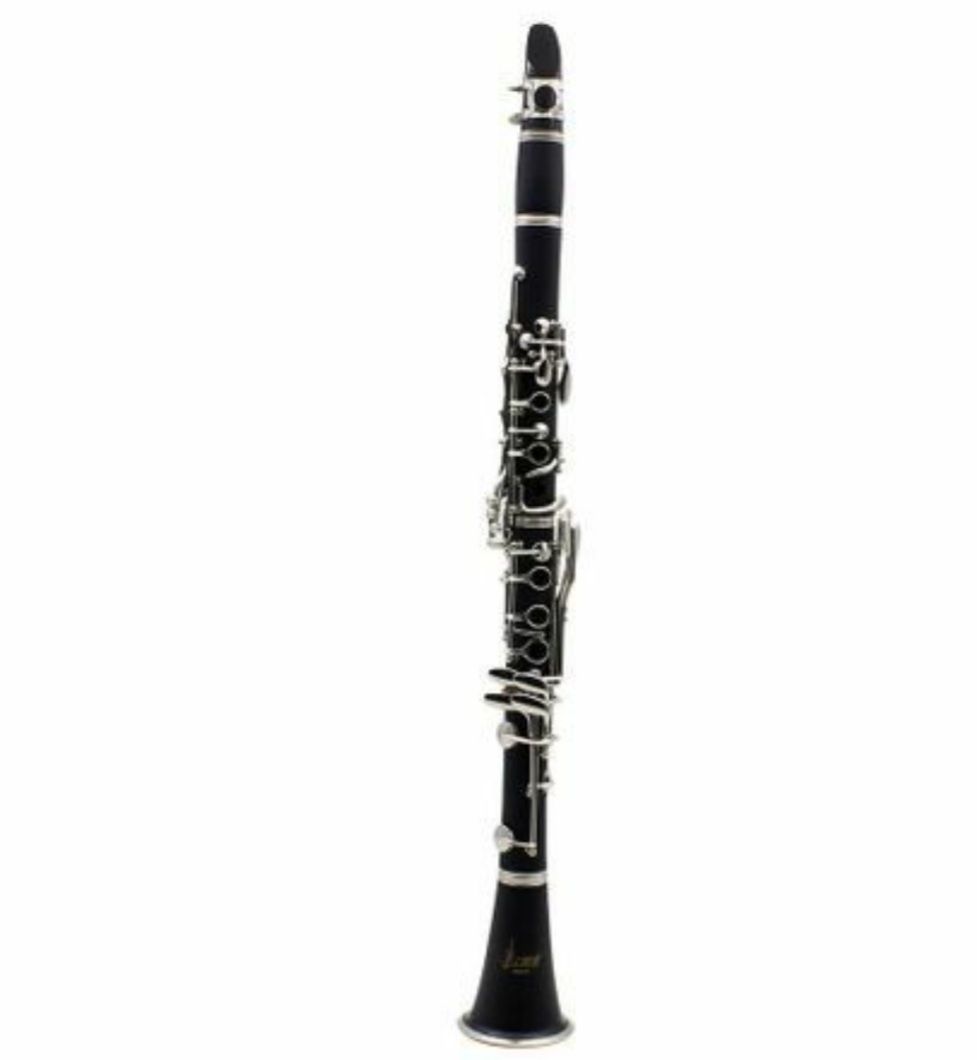 Clarinet Profesional Slade system 17 clape 6 inele nichelate cutie