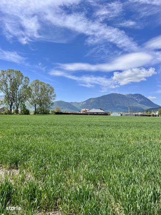 Teren de vânzare intravilan 1150mp lângă Munte
