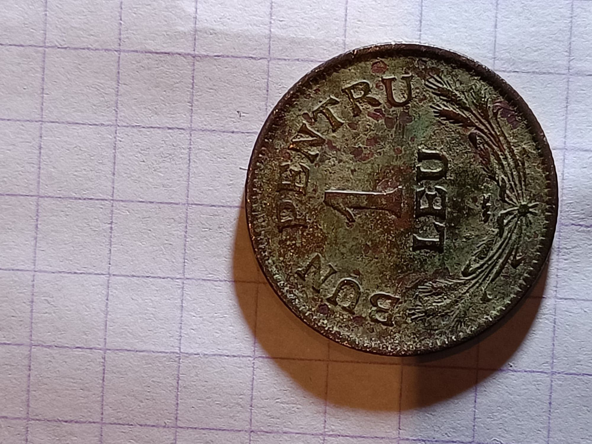 Moneda-Bun pentru 1 leu,1924