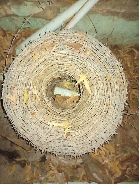 Колючая проволка