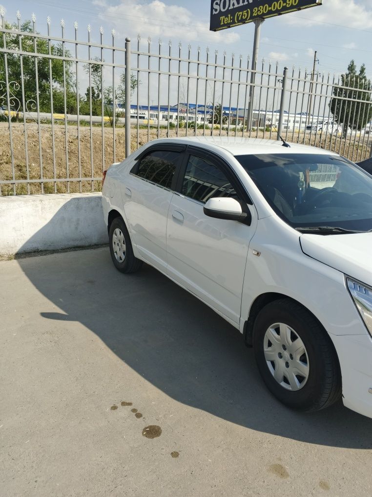 Kobolt yili 2014