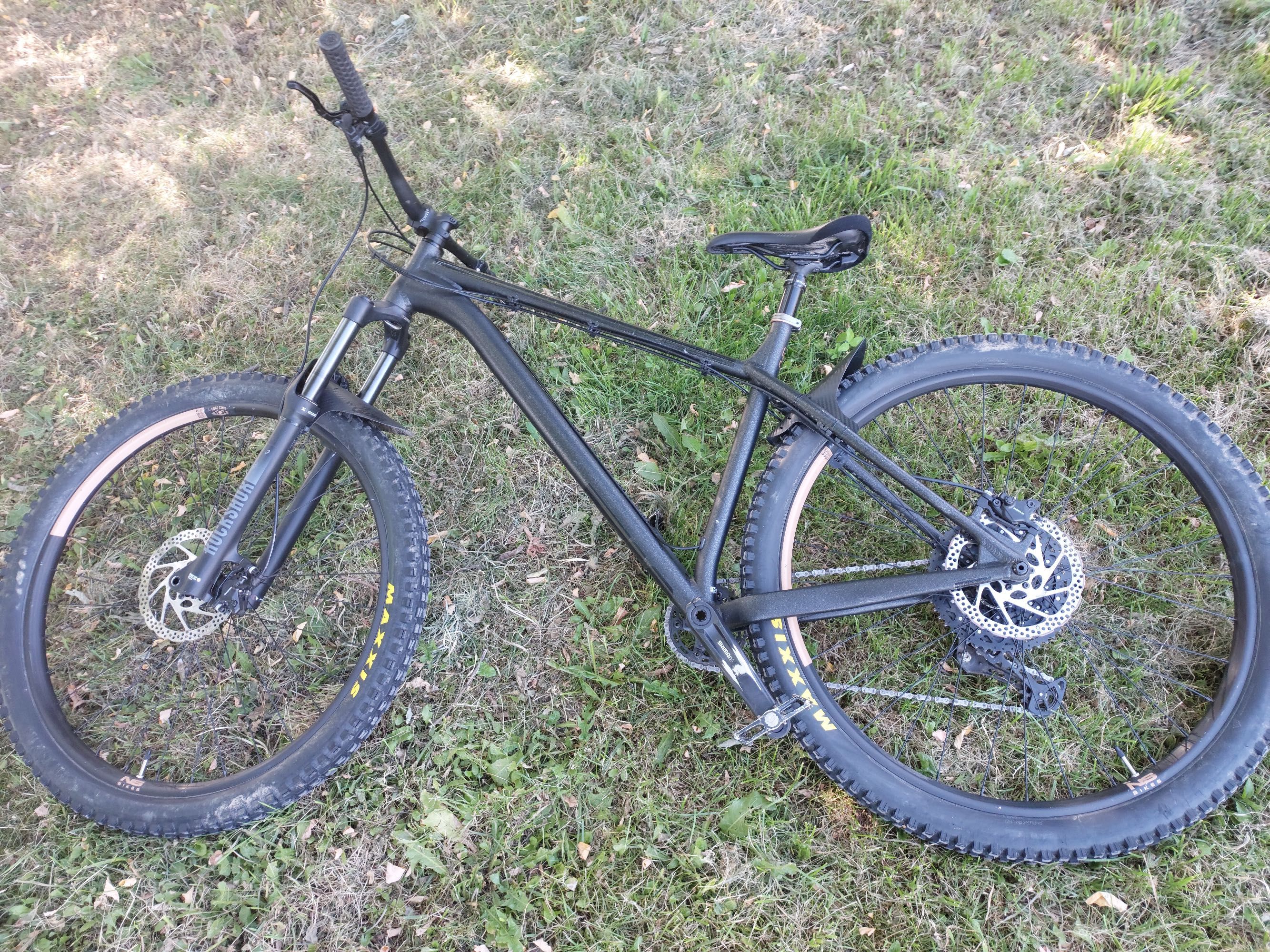 Hardtail NS Eccentric Alu 29