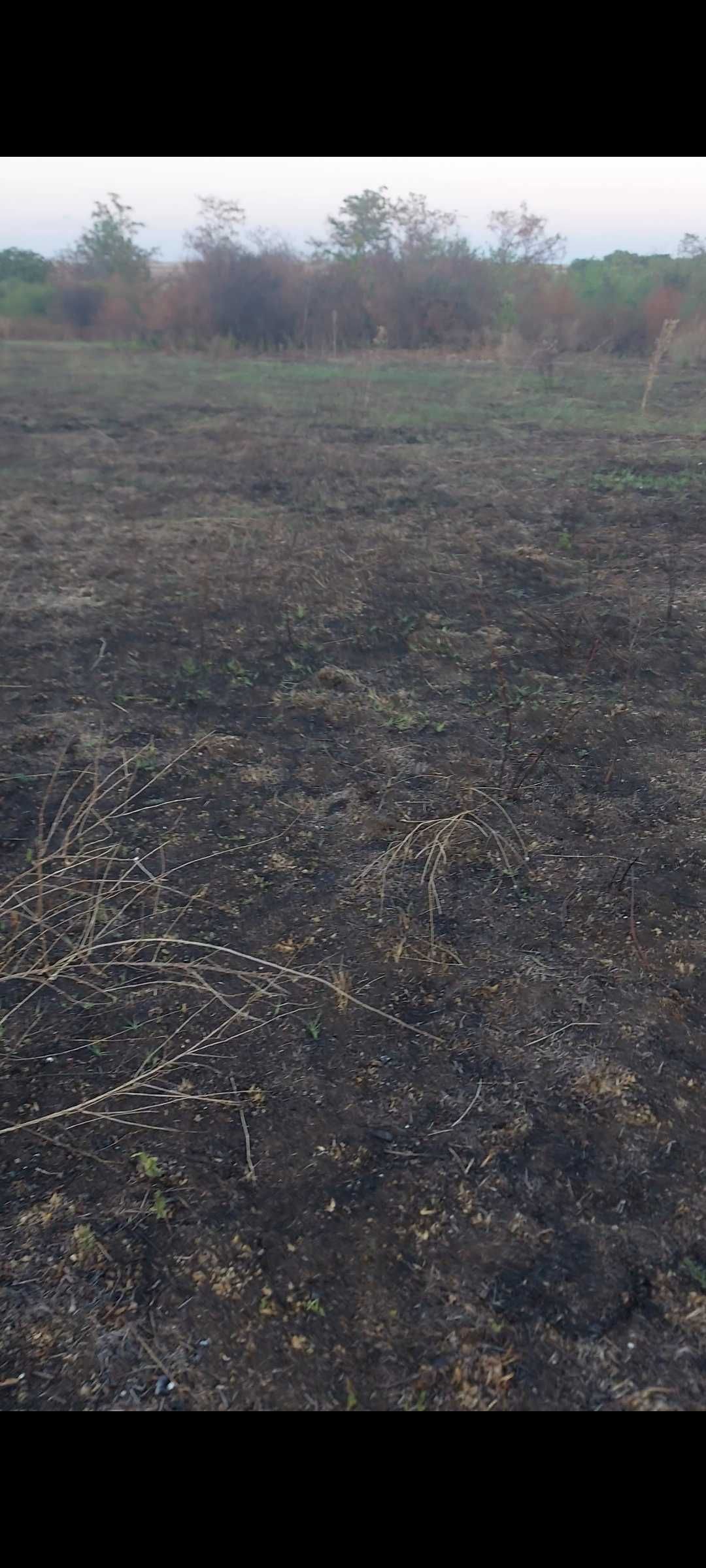 Дворно място 2000 кв.м. в село Миладиновци област Ямбол