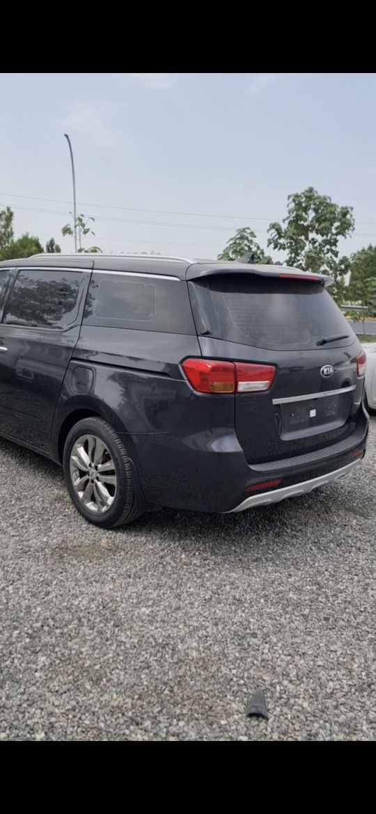 Kia Carnival  2019 benzin